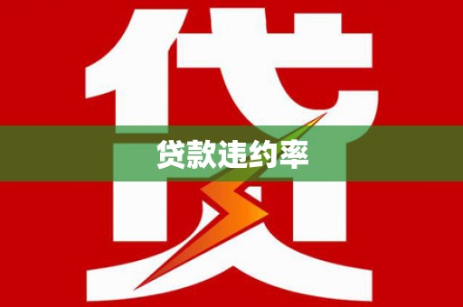 农安贷款违约率