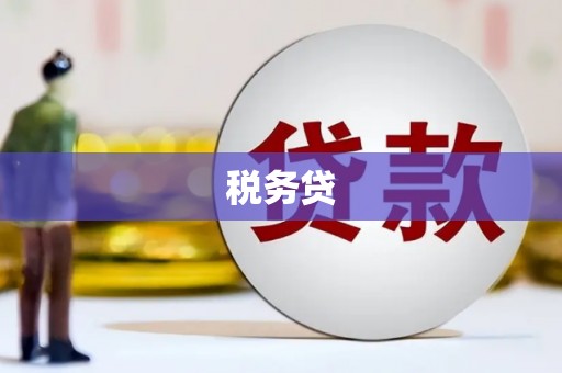 农安税务贷