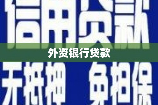 农安外资银行贷款