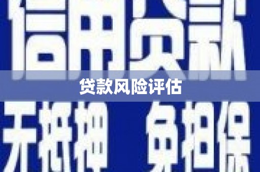 农安贷款风险评估