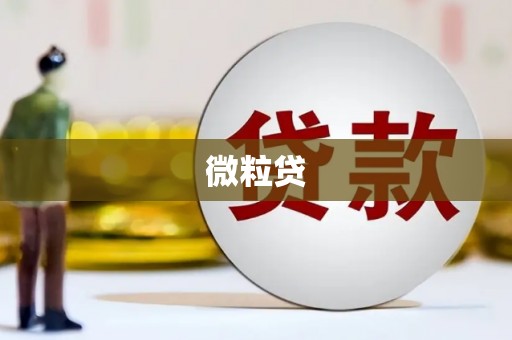 农安微粒贷