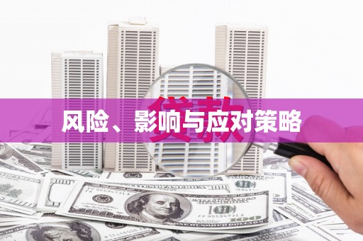 农安风险、影响与应对策略