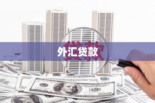 农安外汇贷款