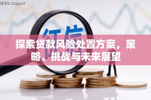 农安探索贷款风险处置方案，策略、挑战与未来展望