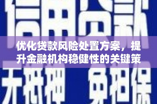 农安优化贷款风险处置方案，提升金融机构稳健性的关键策略