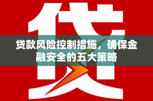 农安贷款风险控制措施，确保金融安全的五大策略