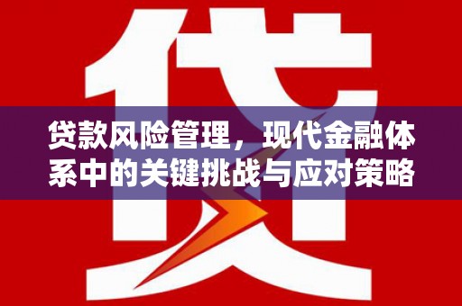 农安贷款风险管理，现代金融体系中的关键挑战与应对策略