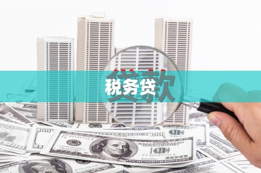 农安税务贷