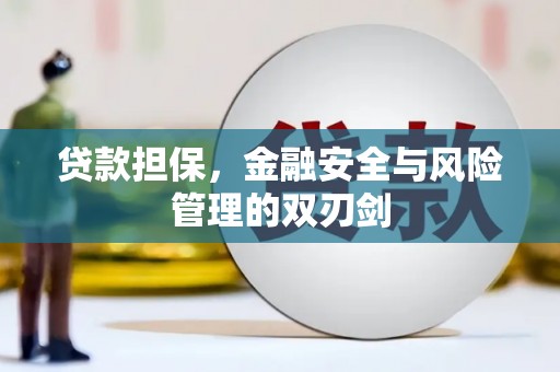 农安贷款担保，金融安全与风险管理的双刃剑