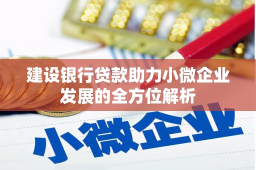 农安建设银行贷款助力小微企业发展的全方位解析