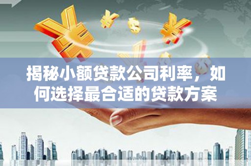 农安揭秘小额贷款公司利率，如何选择最合适的贷款方案