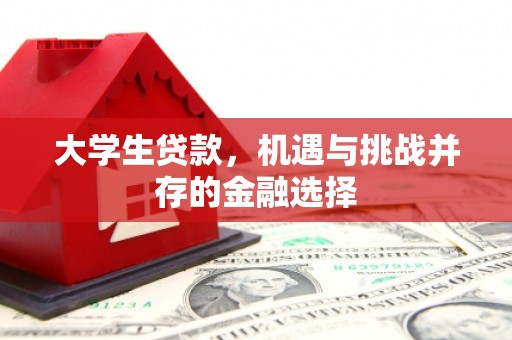 农安大学生贷款，机遇与挑战并存的金融选择