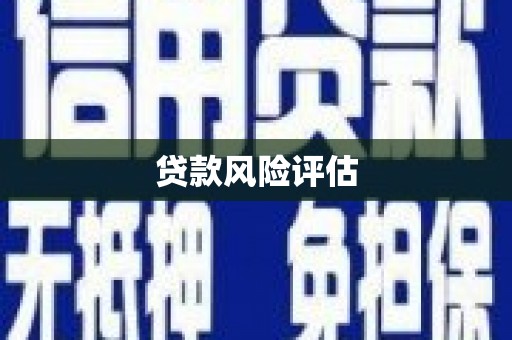 农安贷款风险评估