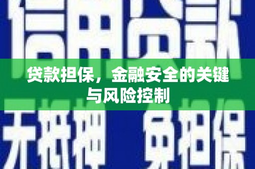 农安贷款担保，金融安全的关键与风险控制