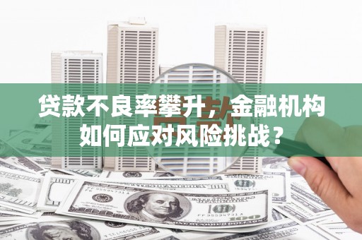 农安贷款不良率攀升，金融机构如何应对风险挑战？