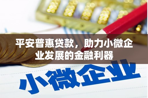 农安平安普惠贷款，助力小微企业发展的金融利器
