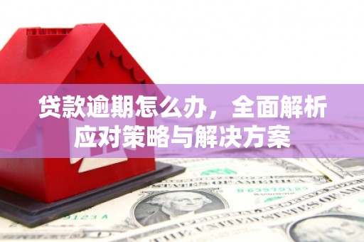 农安贷款逾期怎么办，全面解析应对策略与解决方案