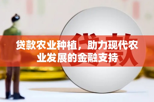 农安贷款农业种植，助力现代农业发展的金融支持